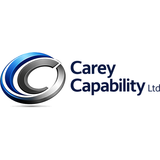 Carey Capability team working with a client